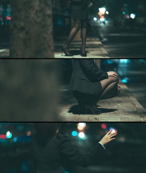 动漫欧美动画狮子_免费高清观看